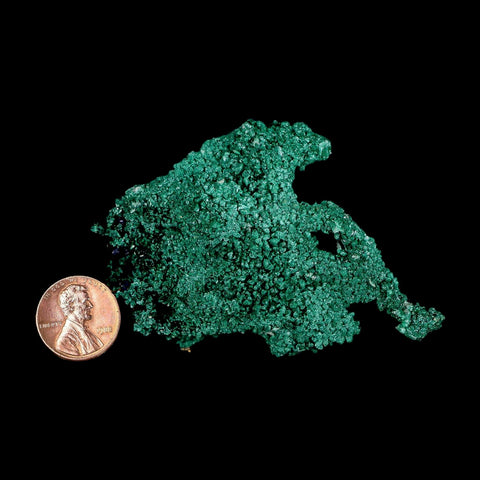 2.6" Dark Green Malachite Crystal Mineral Specimen Tiznit Province Morocco