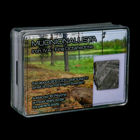 0.8" Muonionalusta Meteorite Specimen Sweden Meteorites Display 4.08 Grams - Fossil Age Minerals
