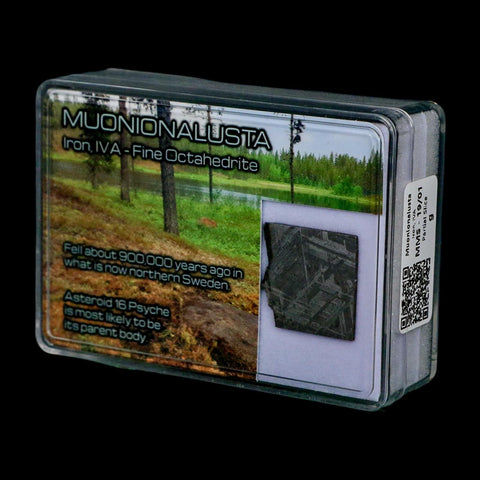 0.8" Muonionalusta Meteorite Specimen Sweden Meteorites Display 4.08 Grams - Fossil Age Minerals