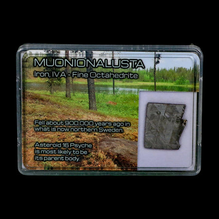 0.8" Muonionalusta Meteorite Specimen Sweden Meteorites Display 5.14 Grams