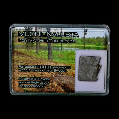 0.8" Muonionalusta Meteorite Specimen Sweden Meteorites Display 5.14 Grams - Fossil Age Minerals