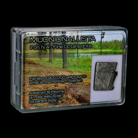 0.8" Muonionalusta Meteorite Specimen Sweden Meteorites Display 5.14 Grams - Fossil Age Minerals