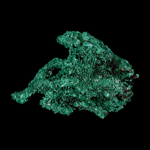 2.6" Dark Green Malachite Crystal Mineral Specimen Tiznit Province Morocco