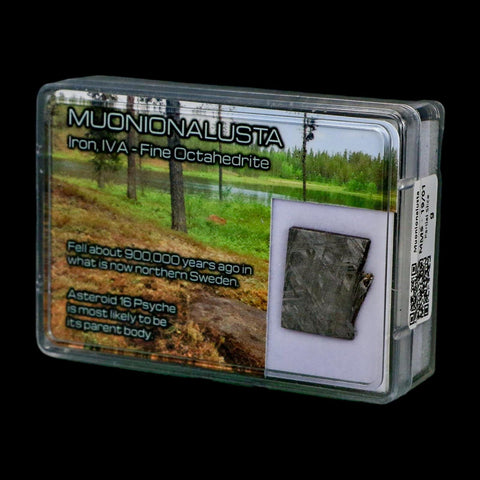 0.8" Muonionalusta Meteorite Specimen Sweden Meteorites Display 5.14 Grams - Fossil Age Minerals