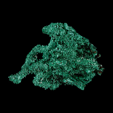 2.6" Dark Green Malachite Crystal Mineral Specimen Tiznit Province Morocco