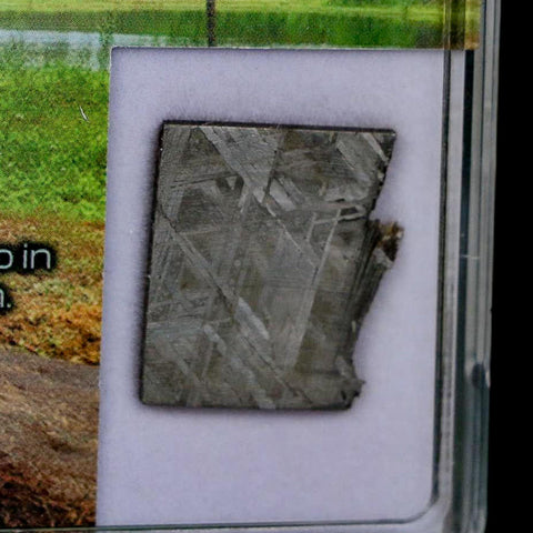 0.8" Muonionalusta Meteorite Specimen Sweden Meteorites Display 5.14 Grams - Fossil Age Minerals