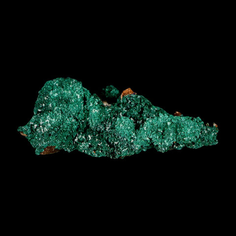 3.2" Dark Green Malachite Crystal Mineral Specimen Tiznit Province Morocco