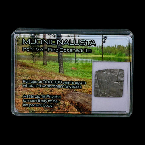 0.8" Muonionalusta Meteorite Specimen Sweden Meteorites Display 2.31 Grams - Fossil Age Minerals