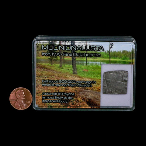 0.8" Muonionalusta Meteorite Specimen Sweden Meteorites Display 2.31 Grams - Fossil Age Minerals