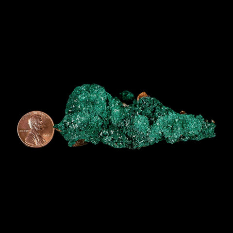 3.2" Dark Green Malachite Crystal Mineral Specimen Tiznit Province Morocco
