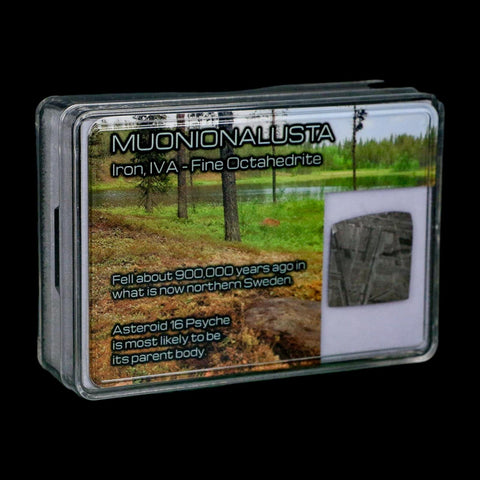 0.8" Muonionalusta Meteorite Specimen Sweden Meteorites Display 2.31 Grams - Fossil Age Minerals