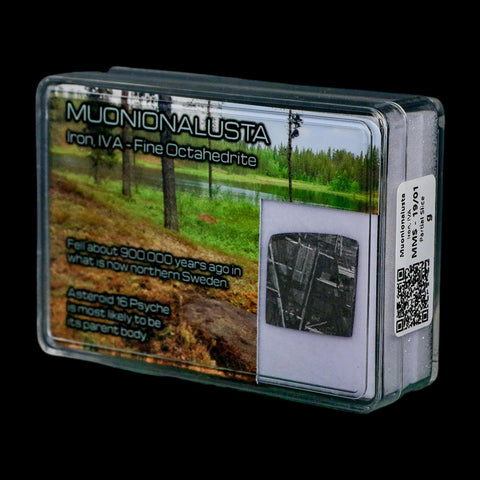 0.8" Muonionalusta Meteorite Specimen Sweden Meteorites Display 2.31 Grams - Fossil Age Minerals