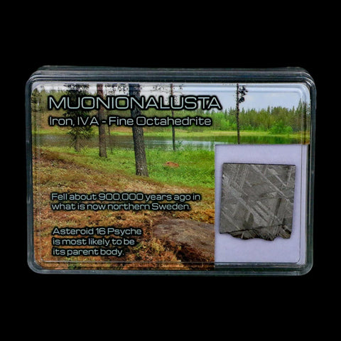 0.9" Muonionalusta Meteorite Specimen Sweden Meteorites Display 4.56 Grams - Fossil Age Minerals