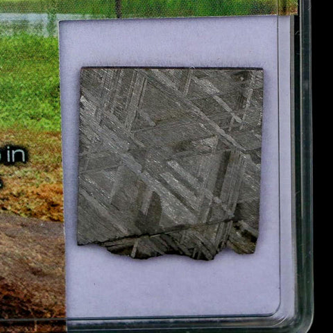 0.9" Muonionalusta Meteorite Specimen Sweden Meteorites Display 4.56 Grams - Fossil Age Minerals