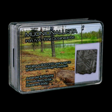 0.9" Muonionalusta Meteorite Specimen Sweden Meteorites Display 4.56 Grams - Fossil Age Minerals