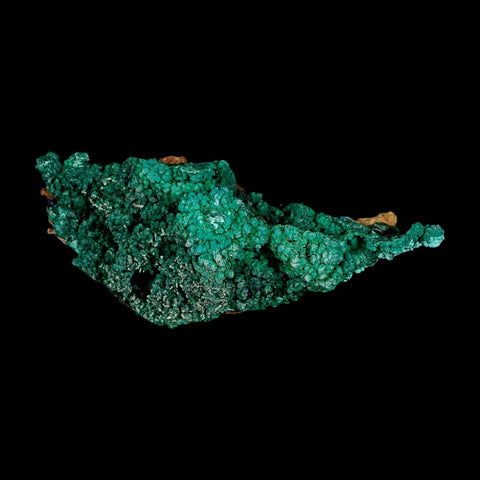 2.9" Dark Green Malachite Crystal Mineral Specimen Tiznit Province Morocco