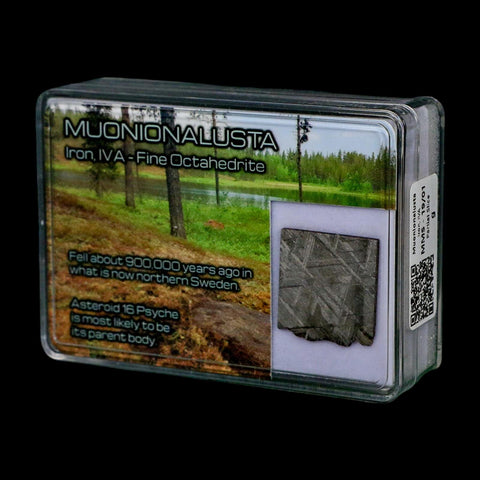 0.9" Muonionalusta Meteorite Specimen Sweden Meteorites Display 4.56 Grams - Fossil Age Minerals