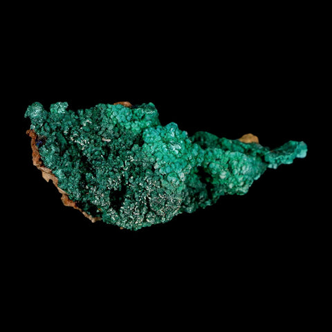 2.9" Dark Green Malachite Crystal Mineral Specimen Tiznit Province Morocco