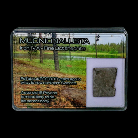0.8" Muonionalusta Meteorite Specimen Sweden Meteorites Display 3.73 Grams - Fossil Age Minerals