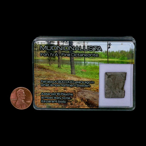 0.8" Muonionalusta Meteorite Specimen Sweden Meteorites Display 3.73 Grams - Fossil Age Minerals