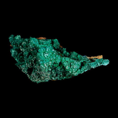2.9" Dark Green Malachite Crystal Mineral Specimen Tiznit Province Morocco