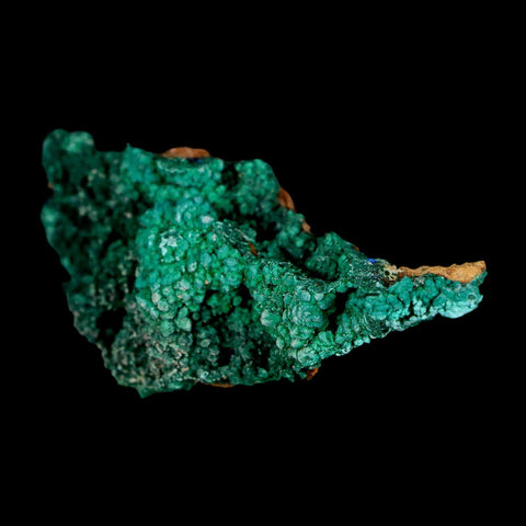 2.9" Dark Green Malachite Crystal Mineral Specimen Tiznit Province Morocco