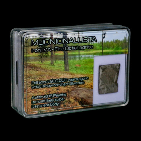 0.8" Muonionalusta Meteorite Specimen Sweden Meteorites Display 3.73 Grams - Fossil Age Minerals