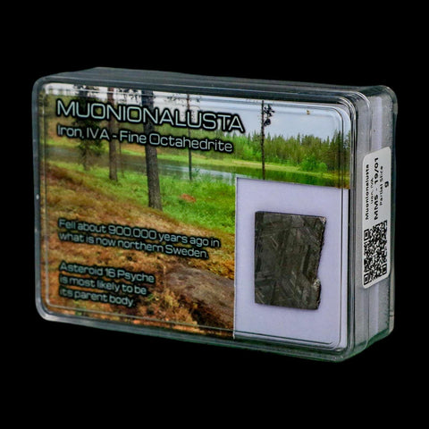 0.8" Muonionalusta Meteorite Specimen Sweden Meteorites Display 3.73 Grams - Fossil Age Minerals
