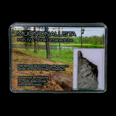 1.3" Muonionalusta Meteorite Specimen Sweden Meteorites Display 5.28 Grams - Fossil Age Minerals