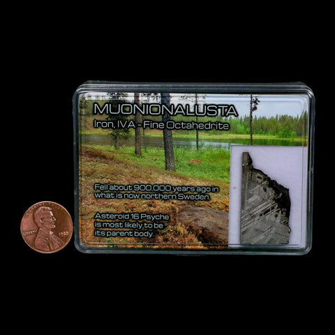 1.3" Muonionalusta Meteorite Specimen Sweden Meteorites Display 5.28 Grams - Fossil Age Minerals