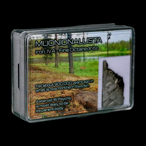 1.3" Muonionalusta Meteorite Specimen Sweden Meteorites Display 5.28 Grams - Fossil Age Minerals