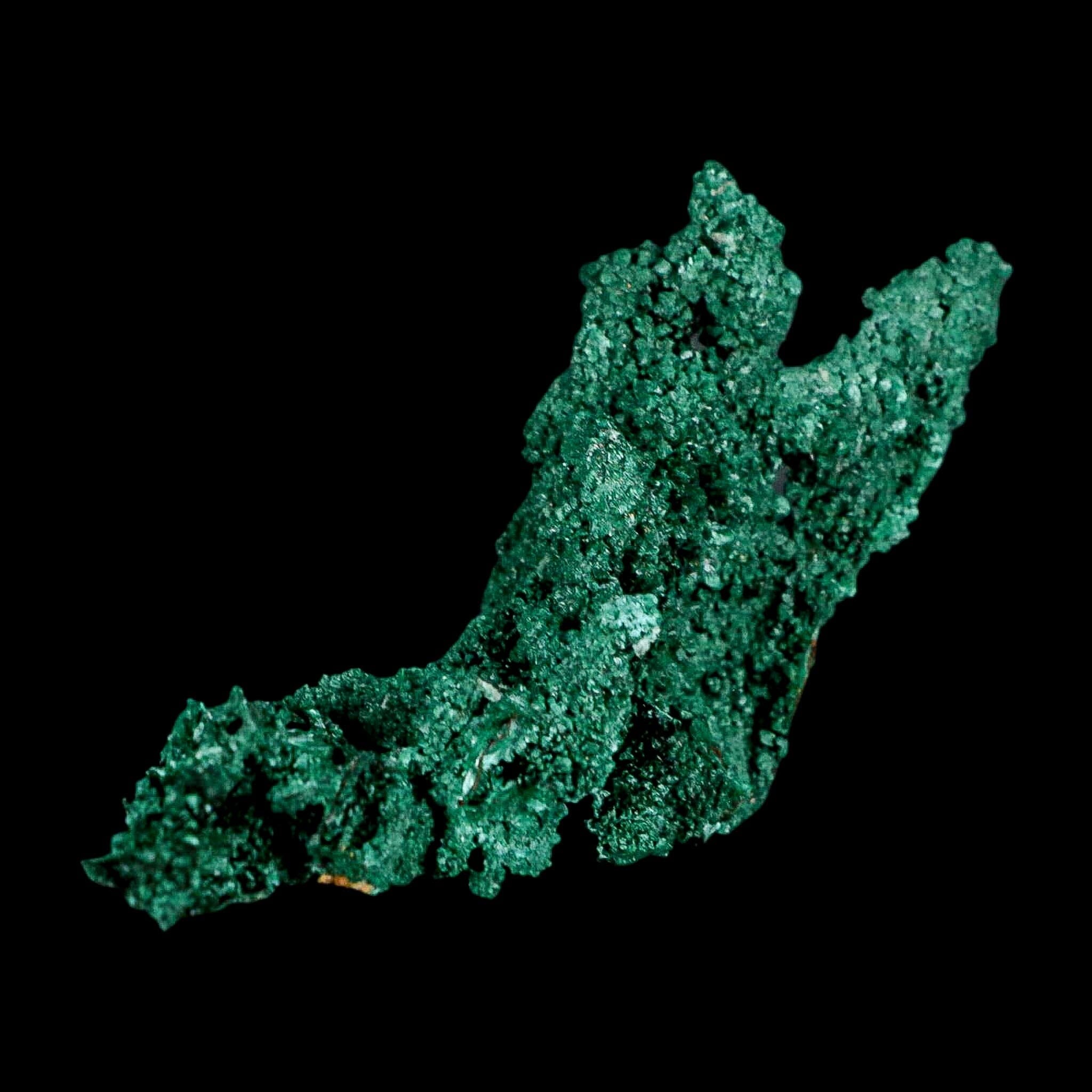3.8" Dark Green Malachite Crystal Mineral Specimen Tiznit Province Morocco - Fossil Age Minerals