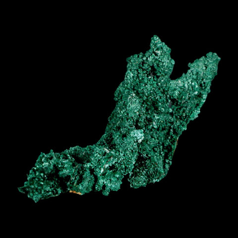 3.8" Dark Green Malachite Crystal Mineral Specimen Tiznit Province Morocco