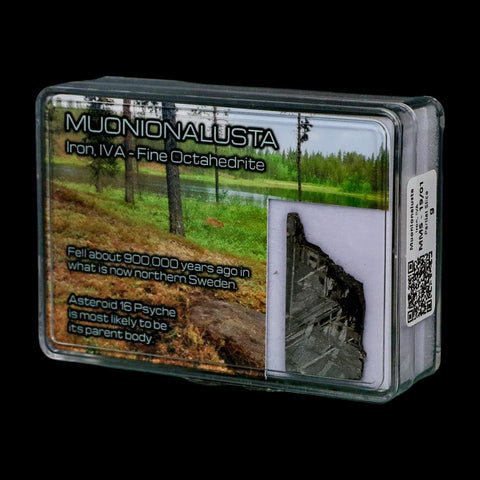 1.3" Muonionalusta Meteorite Specimen Sweden Meteorites Display 5.28 Grams - Fossil Age Minerals