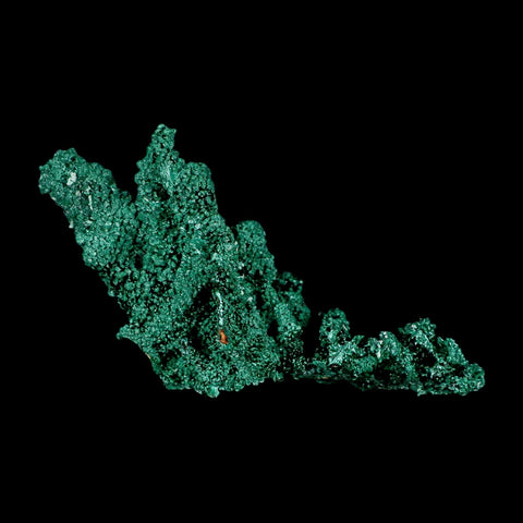 3.8" Dark Green Malachite Crystal Mineral Specimen Tiznit Province Morocco