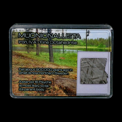0.9" Muonionalusta Meteorite Specimen Sweden Meteorites Display 3.95 Grams - Fossil Age Minerals