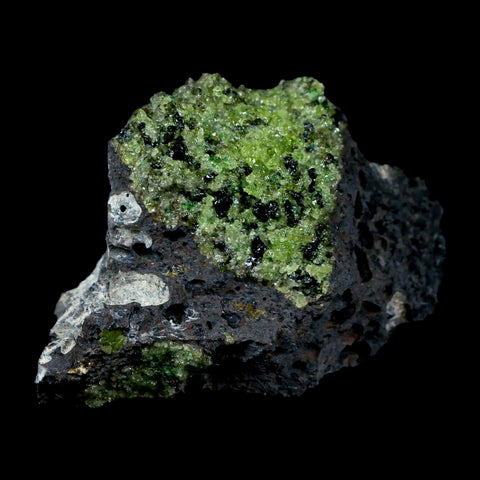 XL 4.3" Natural Emerald Peridot Crystal Minerals On Volcanic Rock Gila, Arizona - Fossil Age Minerals