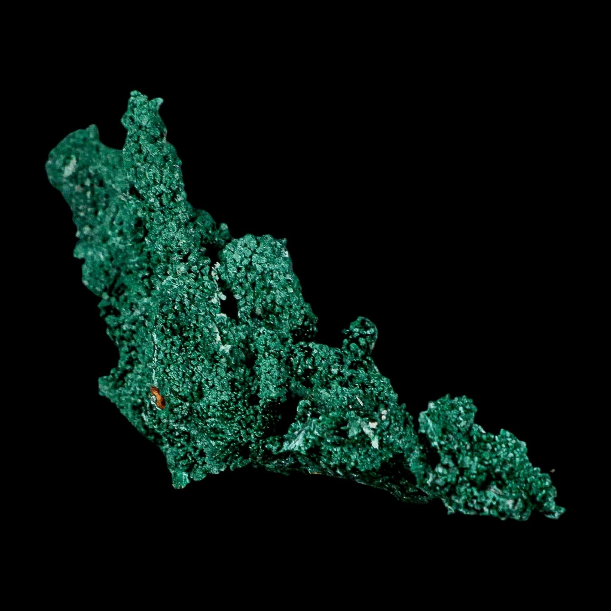 3.8" Dark Green Malachite Crystal Mineral Specimen Tiznit Province Morocco - Fossil Age Minerals
