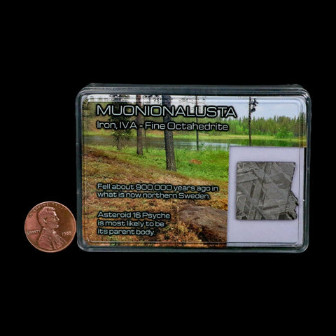 0.9" Muonionalusta Meteorite Specimen Sweden Meteorites Display 3.95 Grams - Fossil Age Minerals
