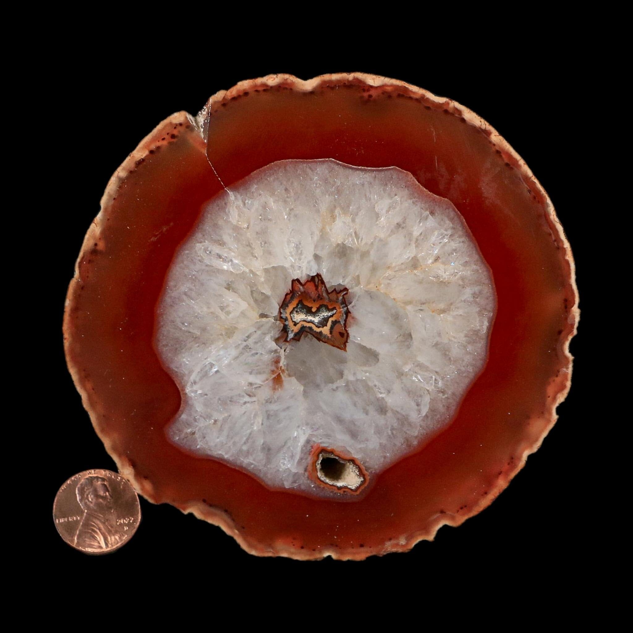 4.2" Polished Cut Agate Geode Crystal Quarts Chalcedony Mineral Specimen