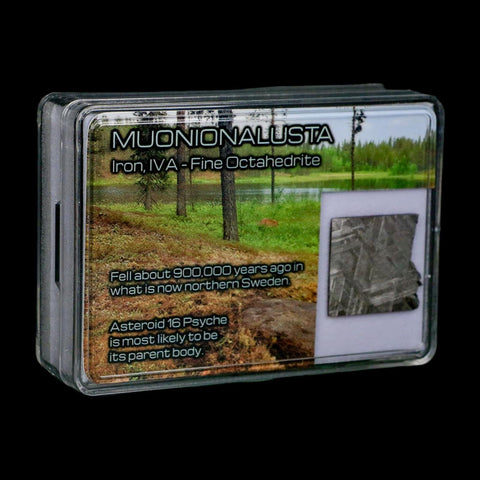 0.9" Muonionalusta Meteorite Specimen Sweden Meteorites Display 3.95 Grams - Fossil Age Minerals