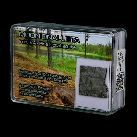 0.9" Muonionalusta Meteorite Specimen Sweden Meteorites Display 3.95 Grams - Fossil Age Minerals