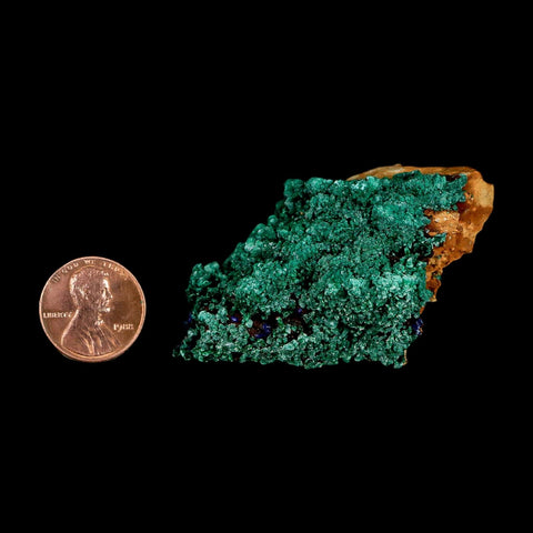 2.4" Dark Green Malachite Crystal Mineral Specimen Tiznit Province Morocco