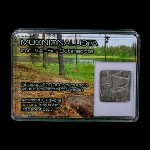 0.8" Muonionalusta Meteorite Specimen Sweden Meteorites Display 5.04 Grams - Fossil Age Minerals