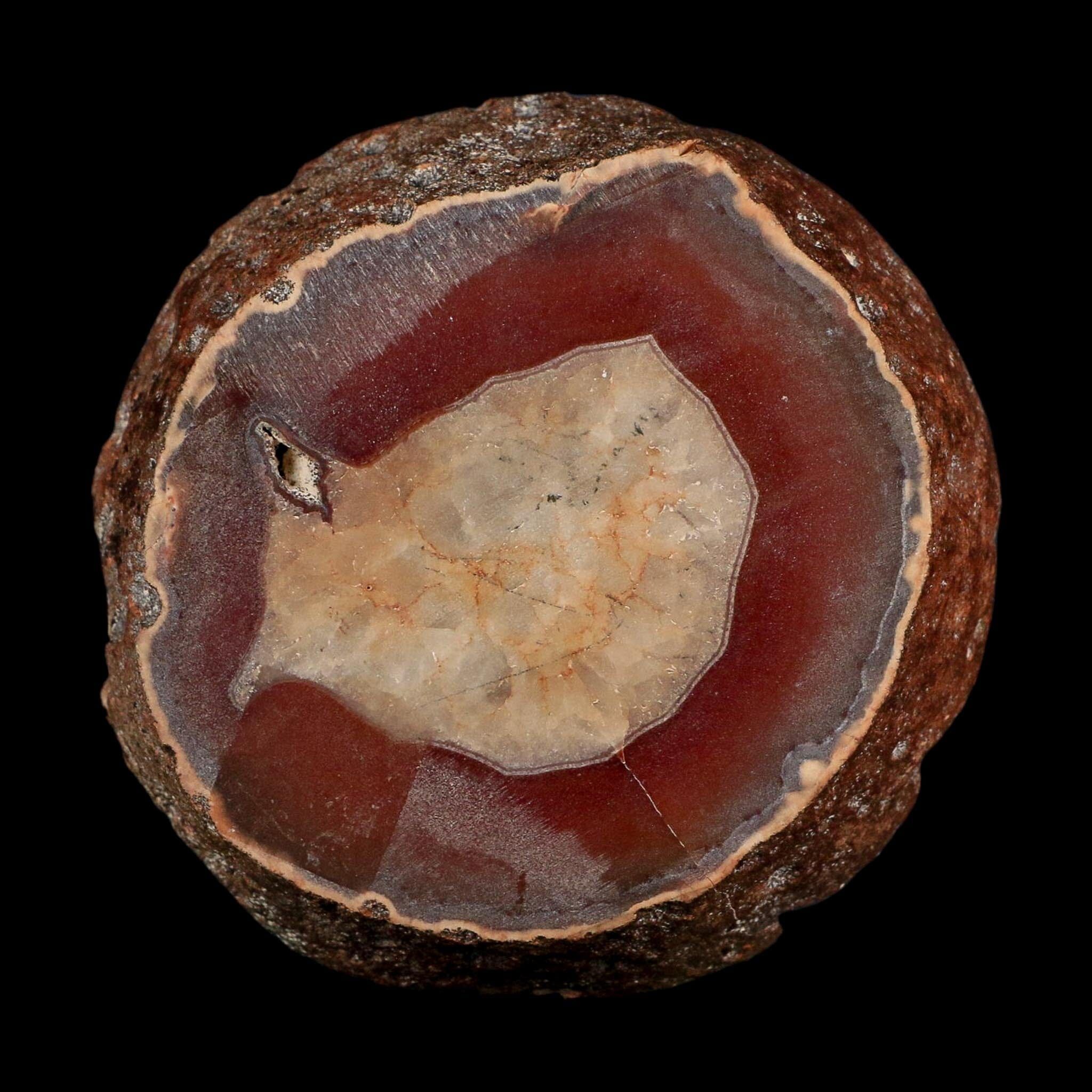 4.2" Polished Cut Agate Geode Crystal Quarts Chalcedony Mineral Specimen