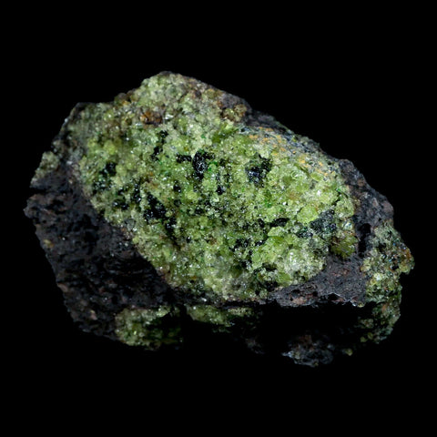 XL 4.1" Natural Emerald Peridot Crystal Minerals On Volcanic Rock Gila, Arizona - Fossil Age Minerals