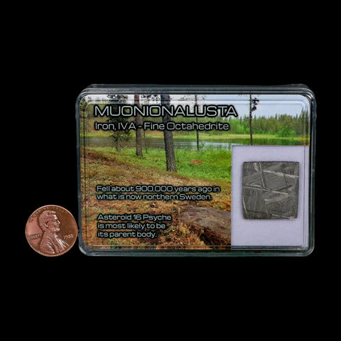0.8" Muonionalusta Meteorite Specimen Sweden Meteorites Display 5.04 Grams - Fossil Age Minerals