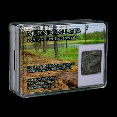 0.8" Muonionalusta Meteorite Specimen Sweden Meteorites Display 5.04 Grams - Fossil Age Minerals