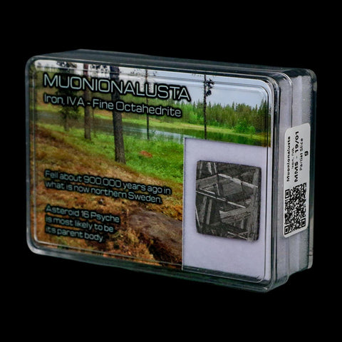 0.8" Muonionalusta Meteorite Specimen Sweden Meteorites Display 5.04 Grams - Fossil Age Minerals