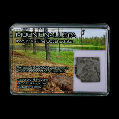 0.8" Muonionalusta Meteorite Specimen Sweden Meteorites Display 4.04 Grams - Fossil Age Minerals